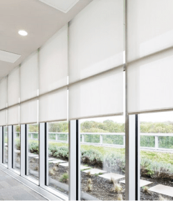 Roller Blinds